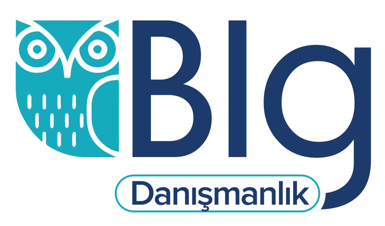 BLG Bilişim Güvenlik ve Eğitim Hizmetleri